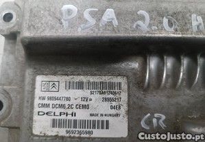 imagem_2