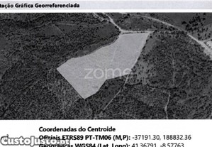 Terreno Com 26.000 M2 Em Ribeirão Vila Nova De...