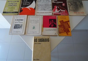 imagem_7