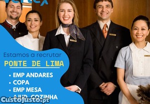 Vertex- Agência de Emprego
