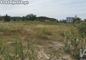 imagem_21