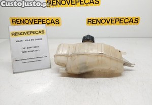 Vaso Expansao / Radiador Renault Clio Iii (Br0/1, 
