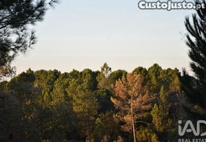 Terreno em Areias e Pias de 5240,00 m²