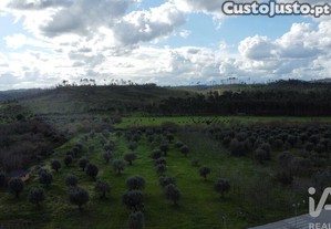 imagem_20