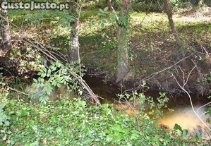 imagem_22