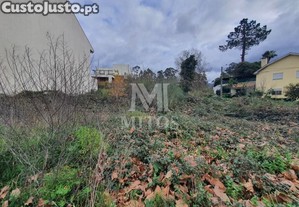 Lote Viana do Castelo