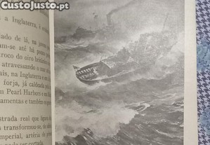 imagem_6