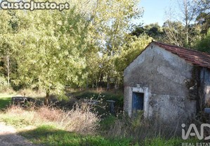 imagem_8