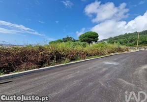 imagem_4
