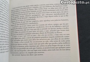 imagem_8
