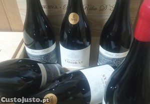 Vinhas Improv�veis 2020 4 grf