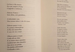 imagem_8