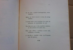 imagem_8