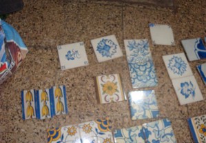 imagem_6