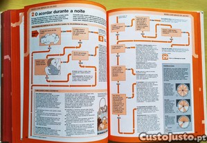 imagem_11