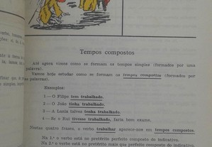 imagem_6