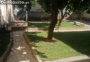 imagem_11