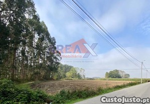 Terreno Localizado Em Zona Industrial, Com...