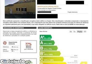 imagem_19
