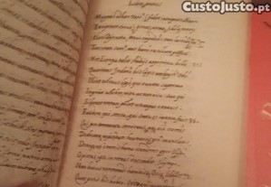 imagem_2