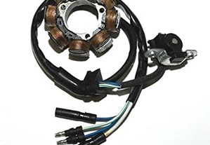 Estator crf450r 2002 - 2004