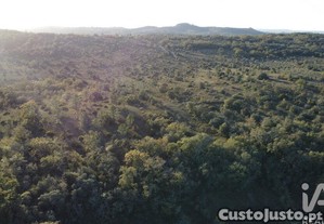 Terreno em Areias e Pias de 2560,00 m²