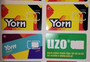 imagem_2