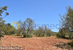 Terreno Rústico Para Fins Agrícolas, Próximo Da...