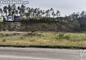imagem_7