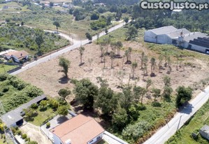 Terreno Para Construção Com 8.787 M2 - Arcozelo...