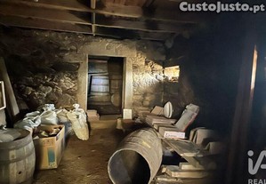 imagem_13