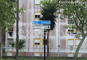 imagem_18
