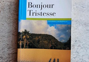 Bonjour Tristesse(inclui atividades e vocabulário)