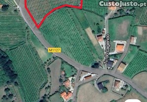 Terreno em Messegães, Valadares e Sá