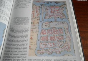 imagem_8