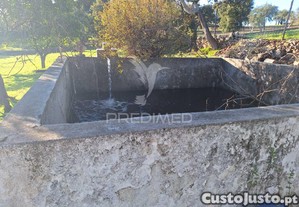imagem_15