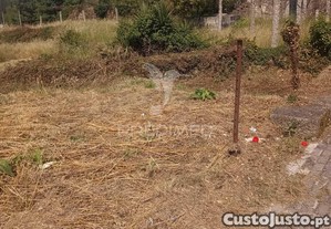 imagem_8