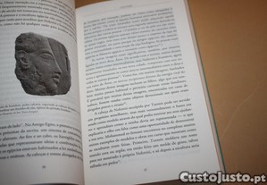 imagem_7
