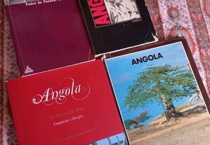 Lote de livros sobre história de Angola
