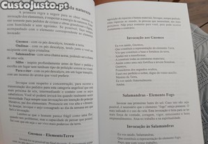 imagem_7