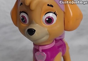 imagem_1