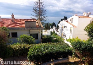 imagem_14