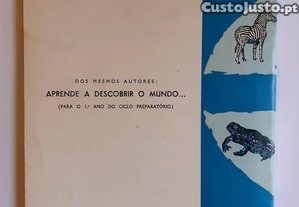 imagem_8