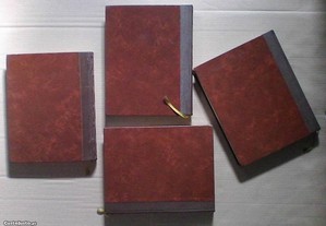 imagem_2