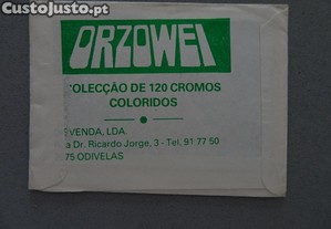 imagem_2