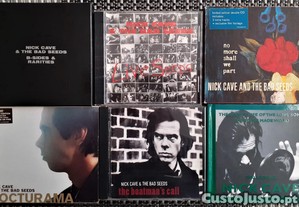 imagem_1