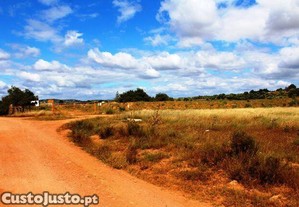 imagem_5