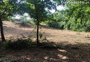 Terreno em Romarigães