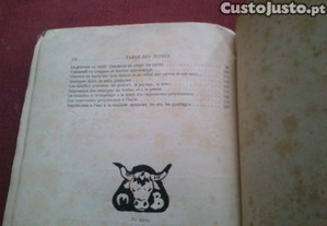 imagem_7