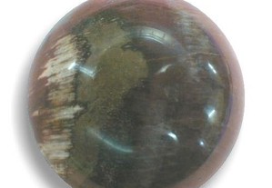 Bola de madeira petrificada fóssil 6,5cm